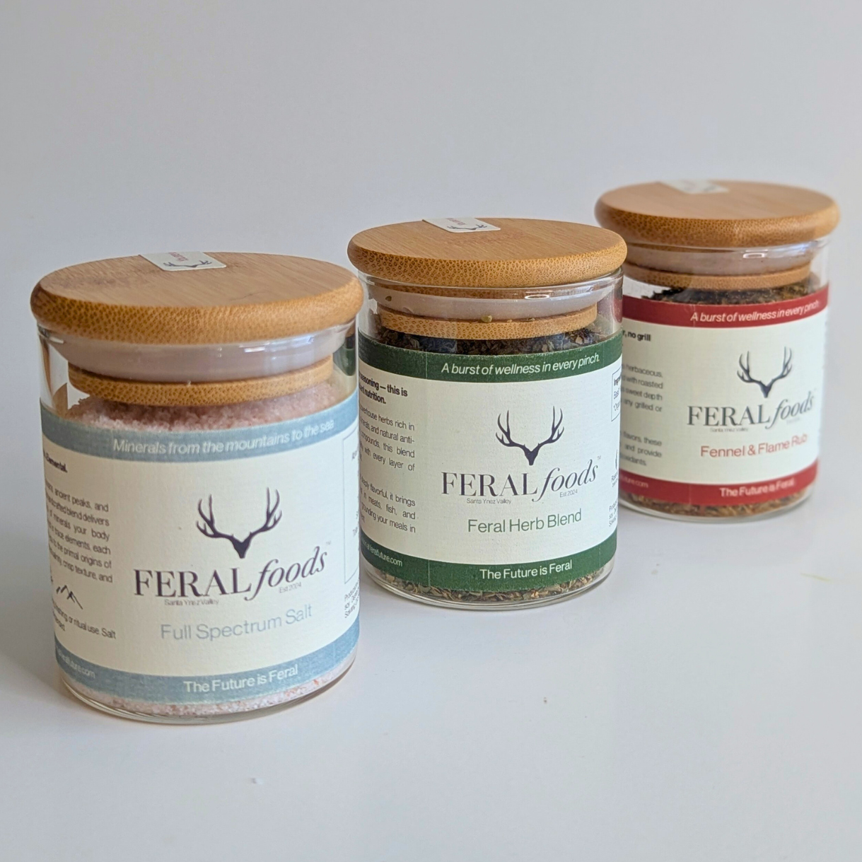 Foundation Trio